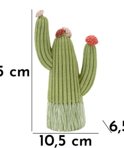 Cactus Stons décoratif avec fleurs colorées vert
