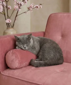 Canapé convertible clic-clac scandinave Slow Velours Rose