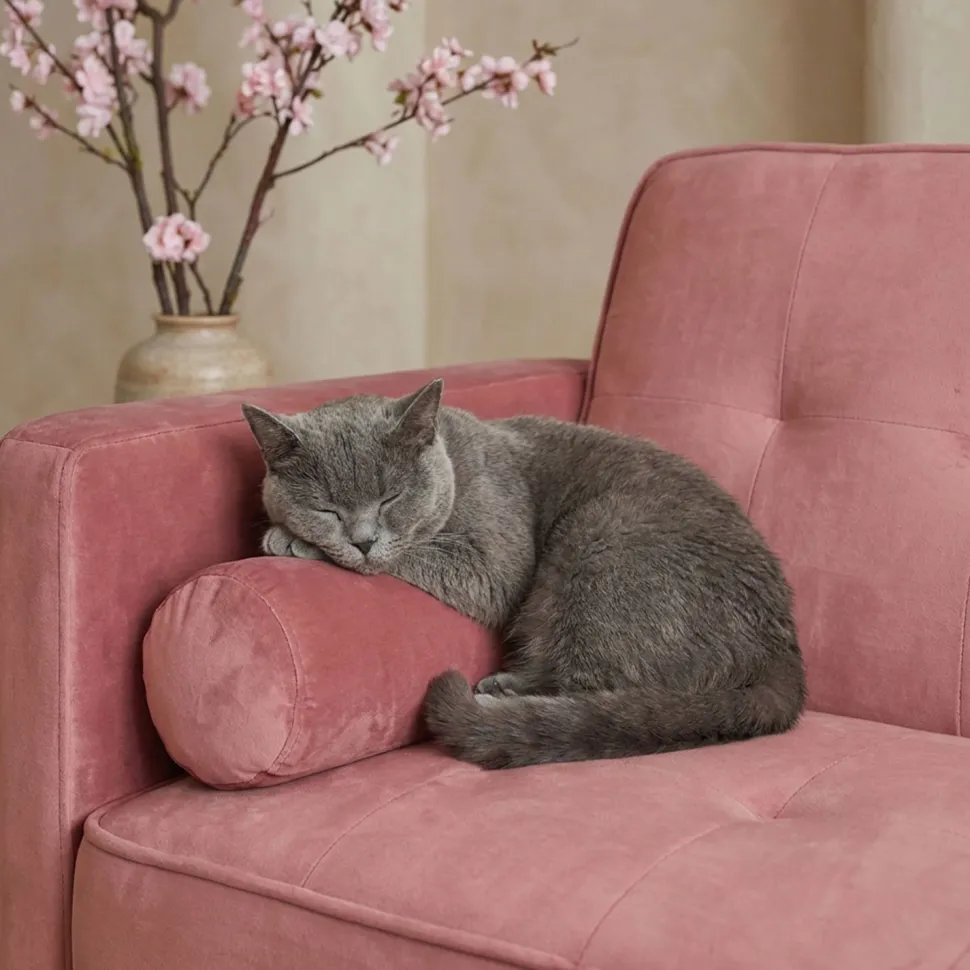 Canapé convertible clic-clac scandinave Slow Velours Rose