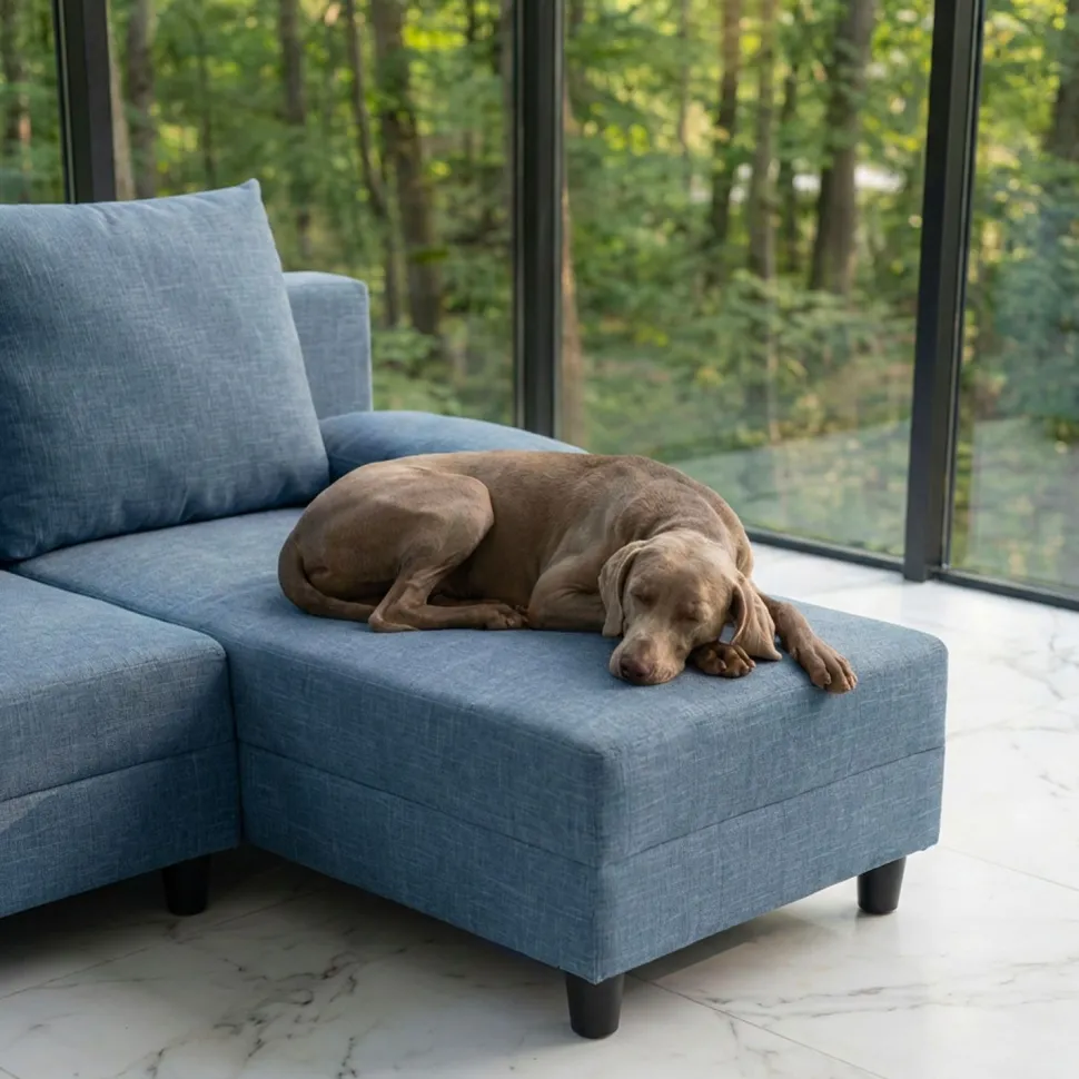 Canapé d'angle convertible Expression Tissu Bleu