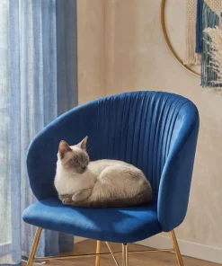 Chaise Smart Velours Bleu Pieds Or