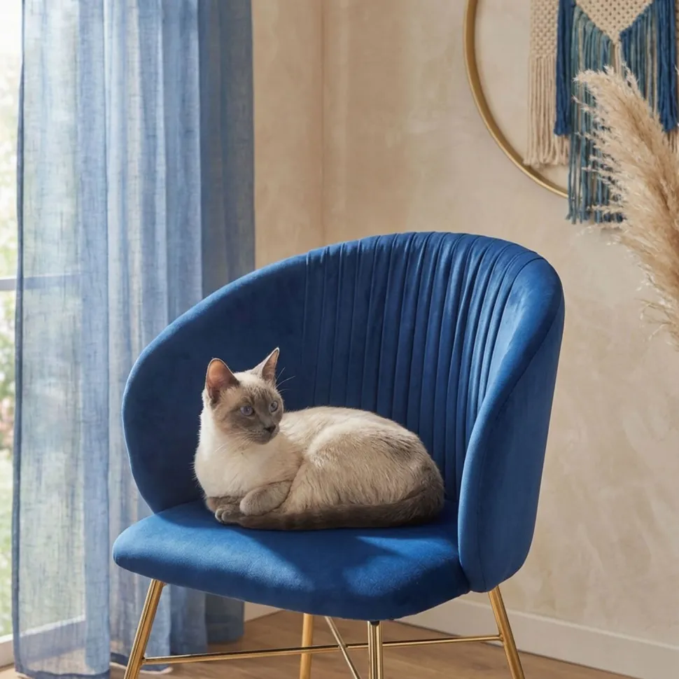 Chaise Smart Velours Bleu Pieds Or