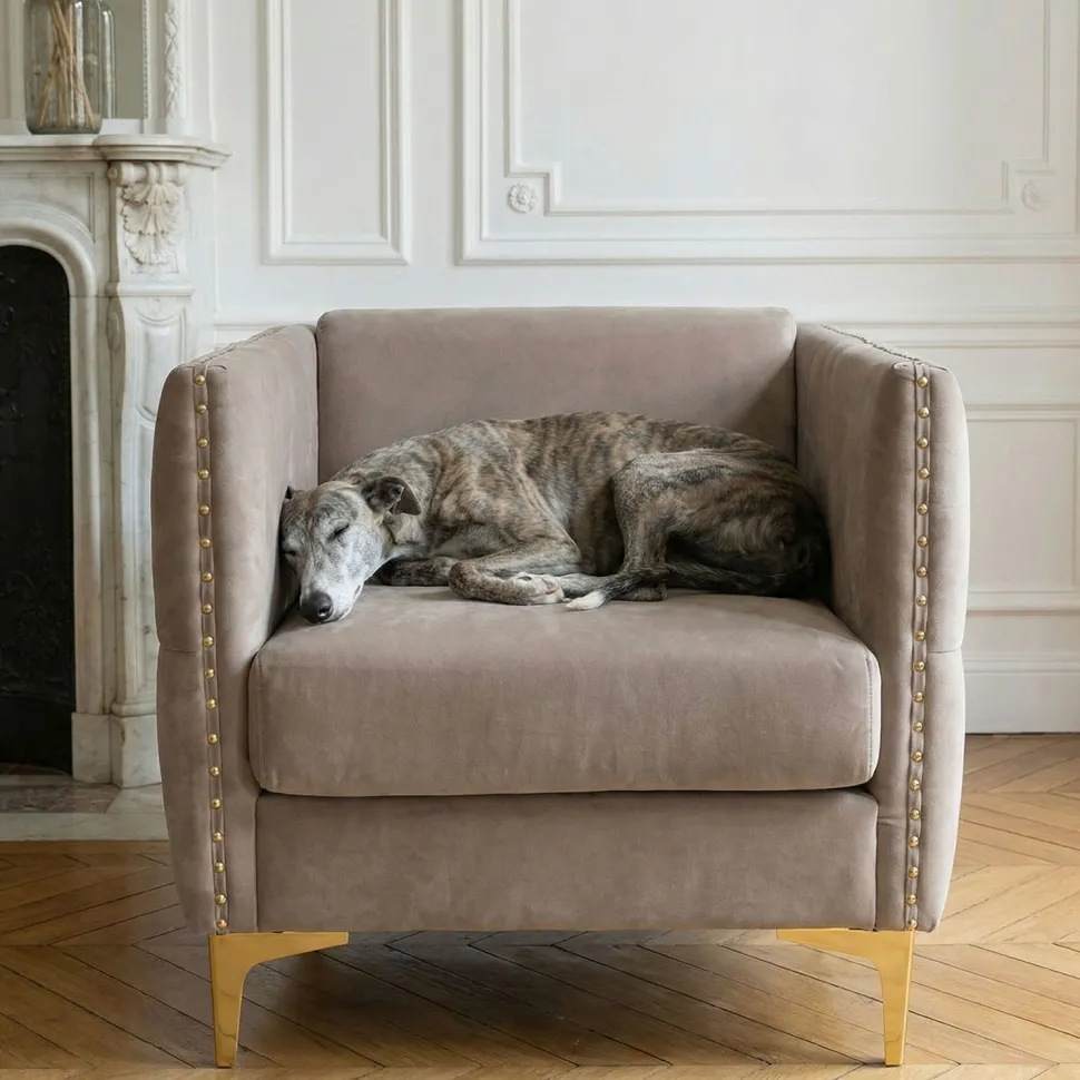 Fauteuil Joshua Velours Taupe