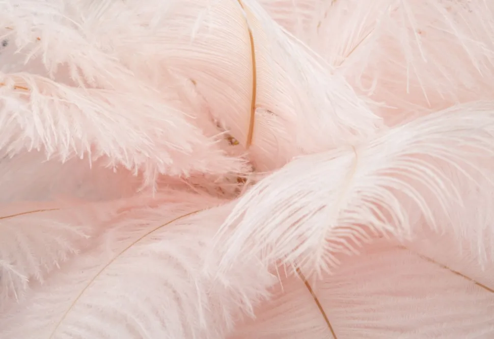 Lampe de table Palm métal doré et abat-jour plumes roses