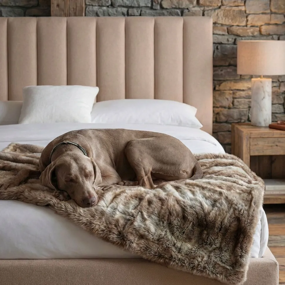 Lit Coffre Songe + Sommier Tissu Beige 180cm