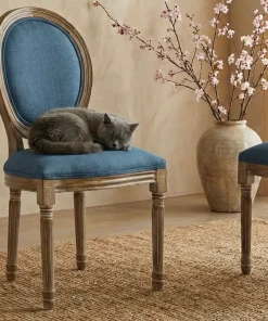 Lot de 20 chaises de style médaillon Louis XVI Tissu Bleu