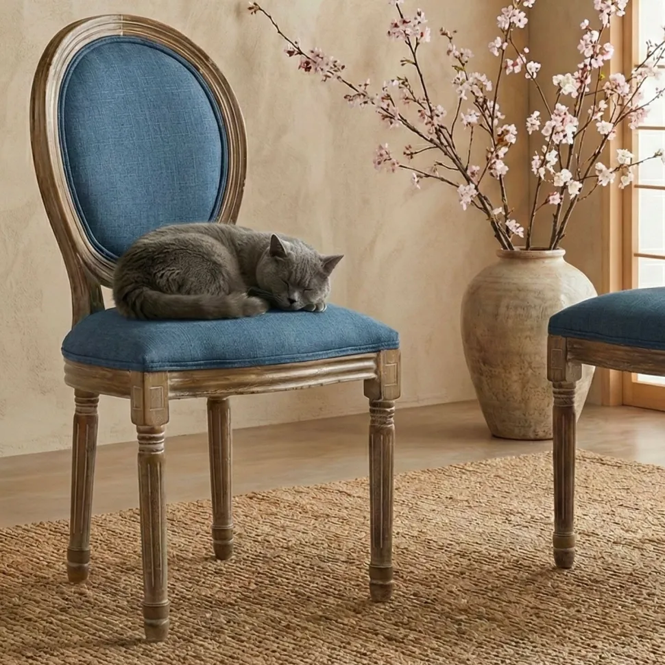 Lot de 20 chaises de style médaillon Louis XVI Tissu Bleu