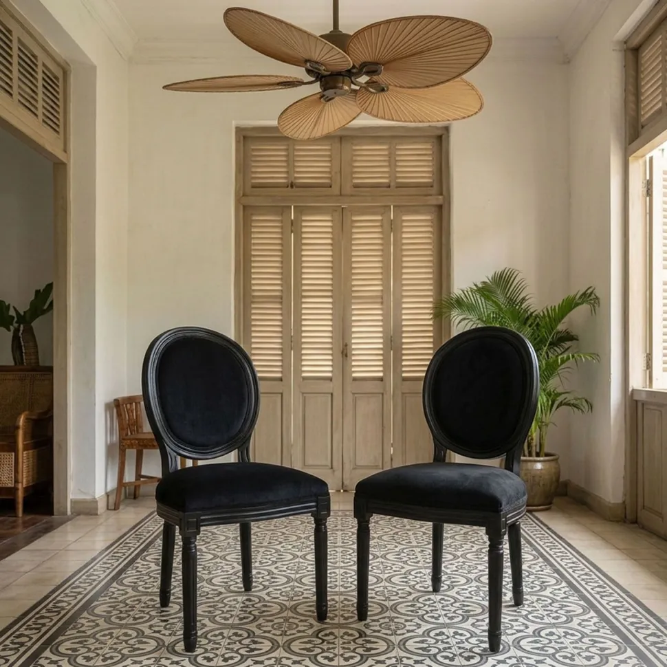 Lot de 2 chaises médaillon Louis XVI Black Bois massif et Velours Noir