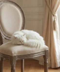 Lot de 20 chaises médaillon Louis XVI Tissu Beige