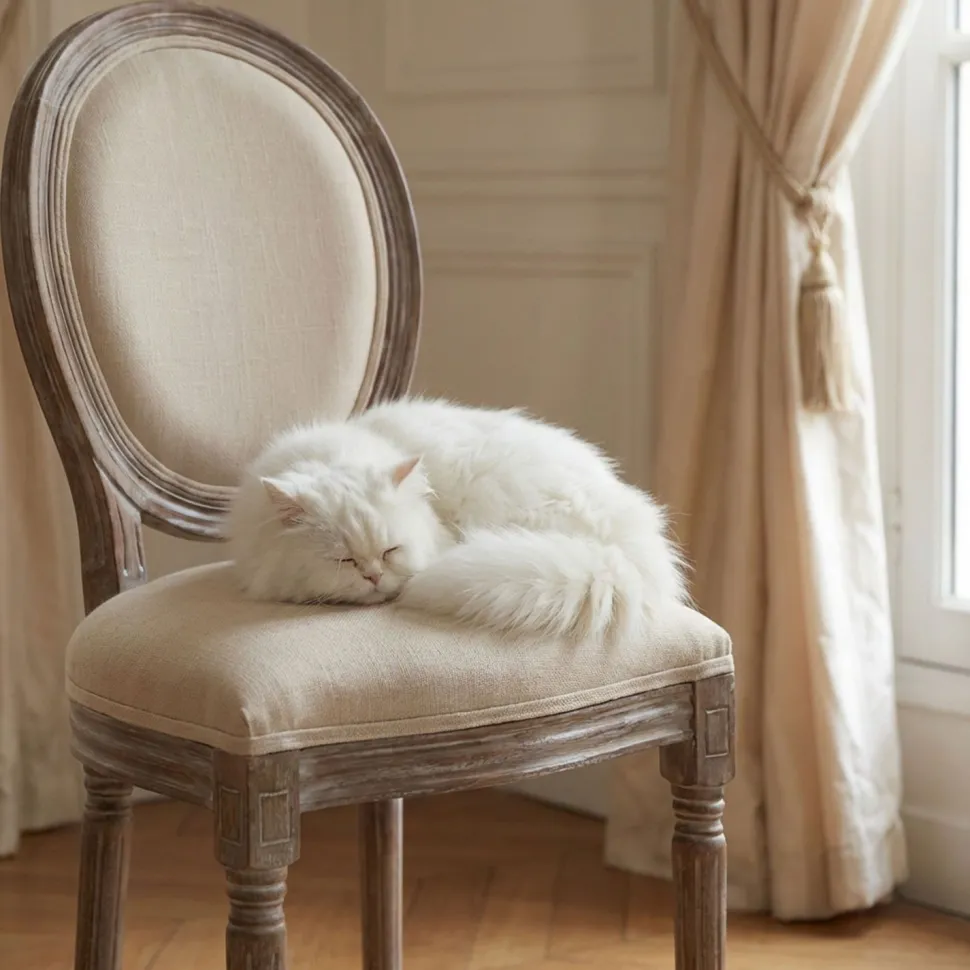 Lot de 20 chaises médaillon Louis XVI Tissu Beige