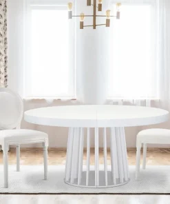 Lot de 20 chaises médaillon Louis XVI Simili (P.U) Blanc