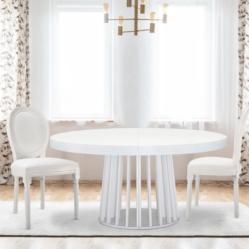 Lot de 20 chaises médaillon Louis XVI Simili (P.U) Blanc