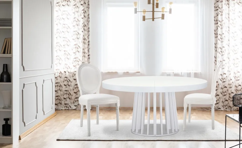 Lot de 20 chaises médaillon Louis XVI Simili (P.U) Blanc
