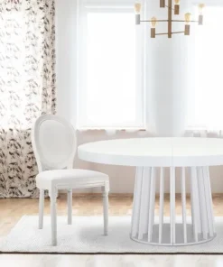 Lot de 2 chaises médaillon Louis XVI Bois massif et Simili (P.U) Blanc