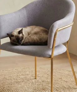 Lot de 2 chaises/fauteuils Ulrick Tissu Gris
