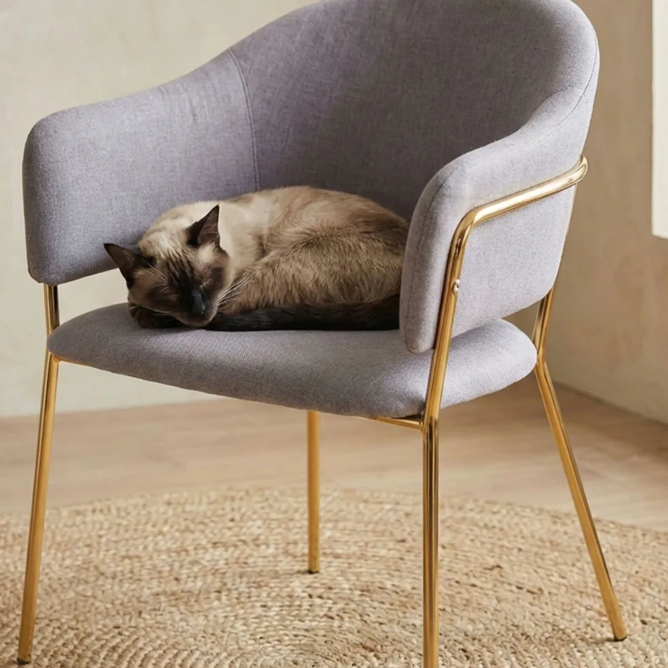 Lot de 2 chaises/fauteuils Ulrick Tissu Gris
