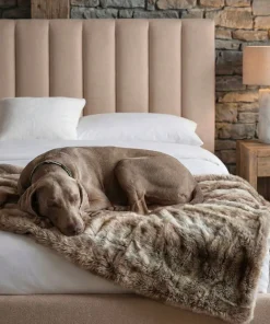 Pack Lit-coffre Songe + Matelas Bedream 180x200cm Tissu Beige