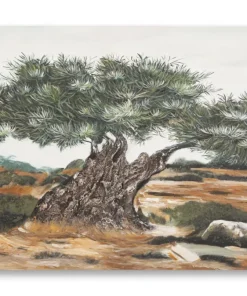 Peinture à l'huile Méditerranéenne Nature 120x80 cm