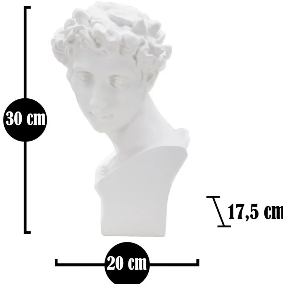 Sculpture tête masculine Renaissance Florentine Polyrésine Blanc