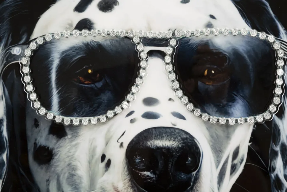 Tableau mural Chien Dalmatien encadré Bois massif et Métal argenté