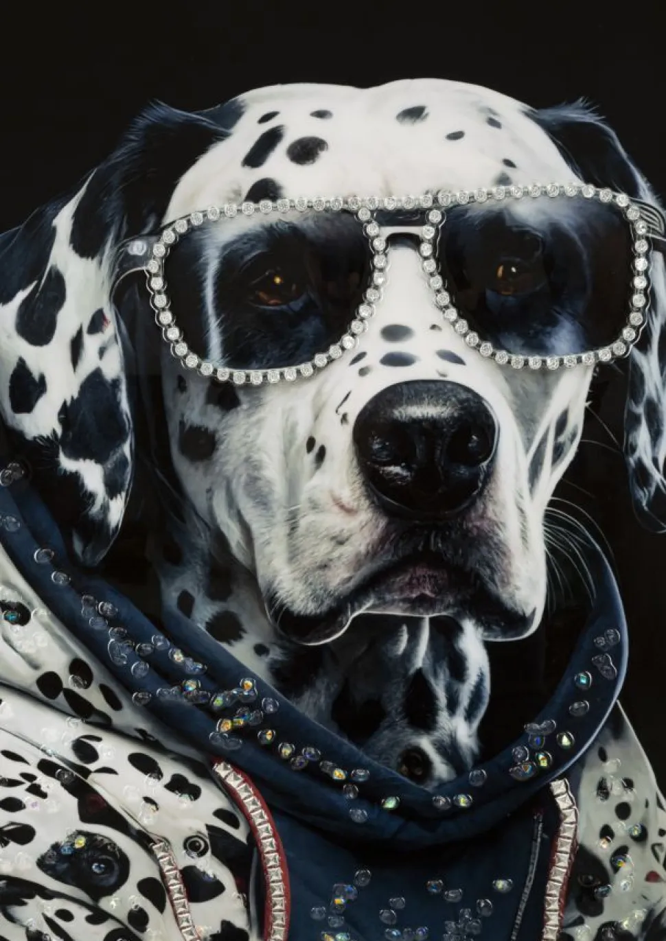 Tableau mural Chien Dalmatien encadré Bois massif et Métal argenté
