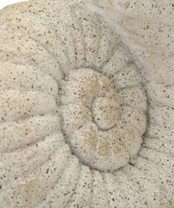 Vase en forme de coquillage sablé