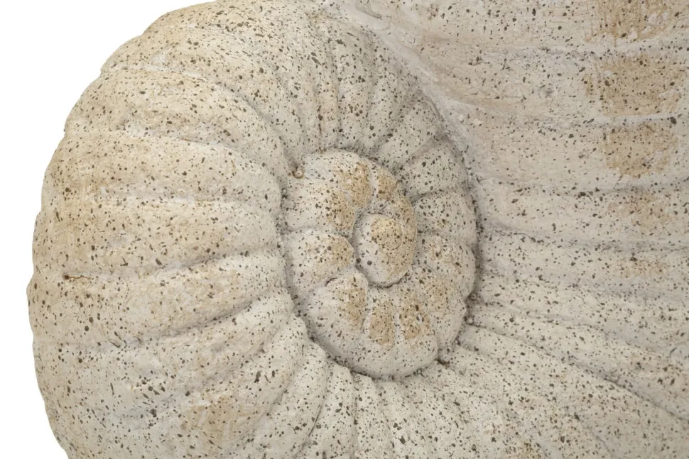 Vase en forme de coquillage sablé