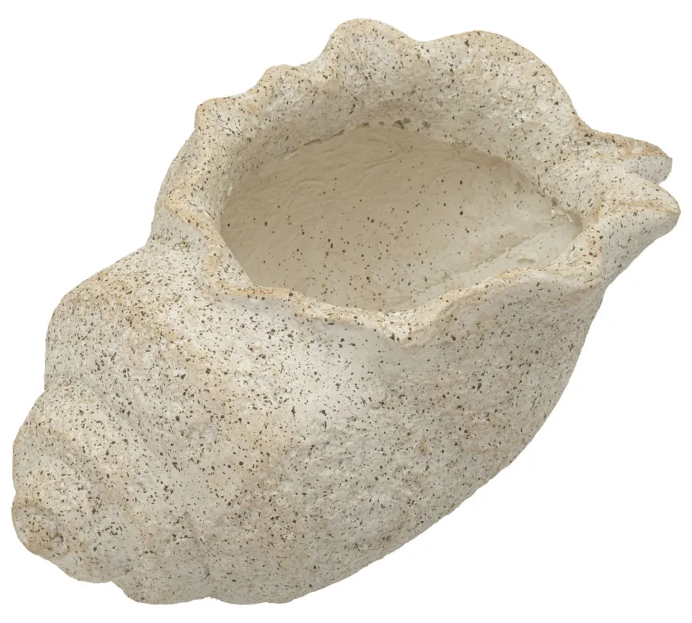 Vase Sable Coquillage