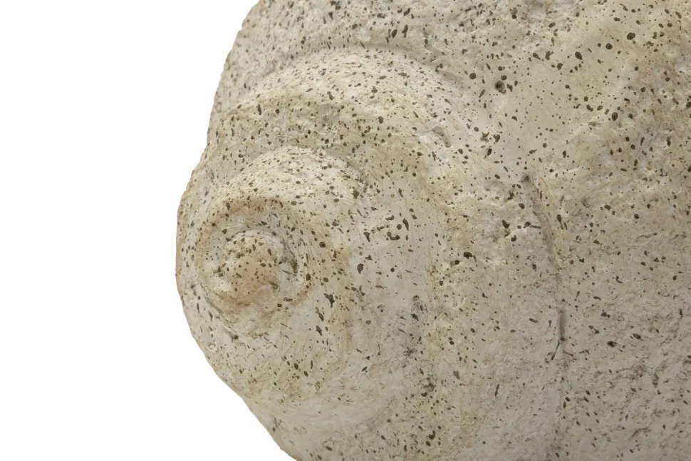 Vase Sable Coquillage