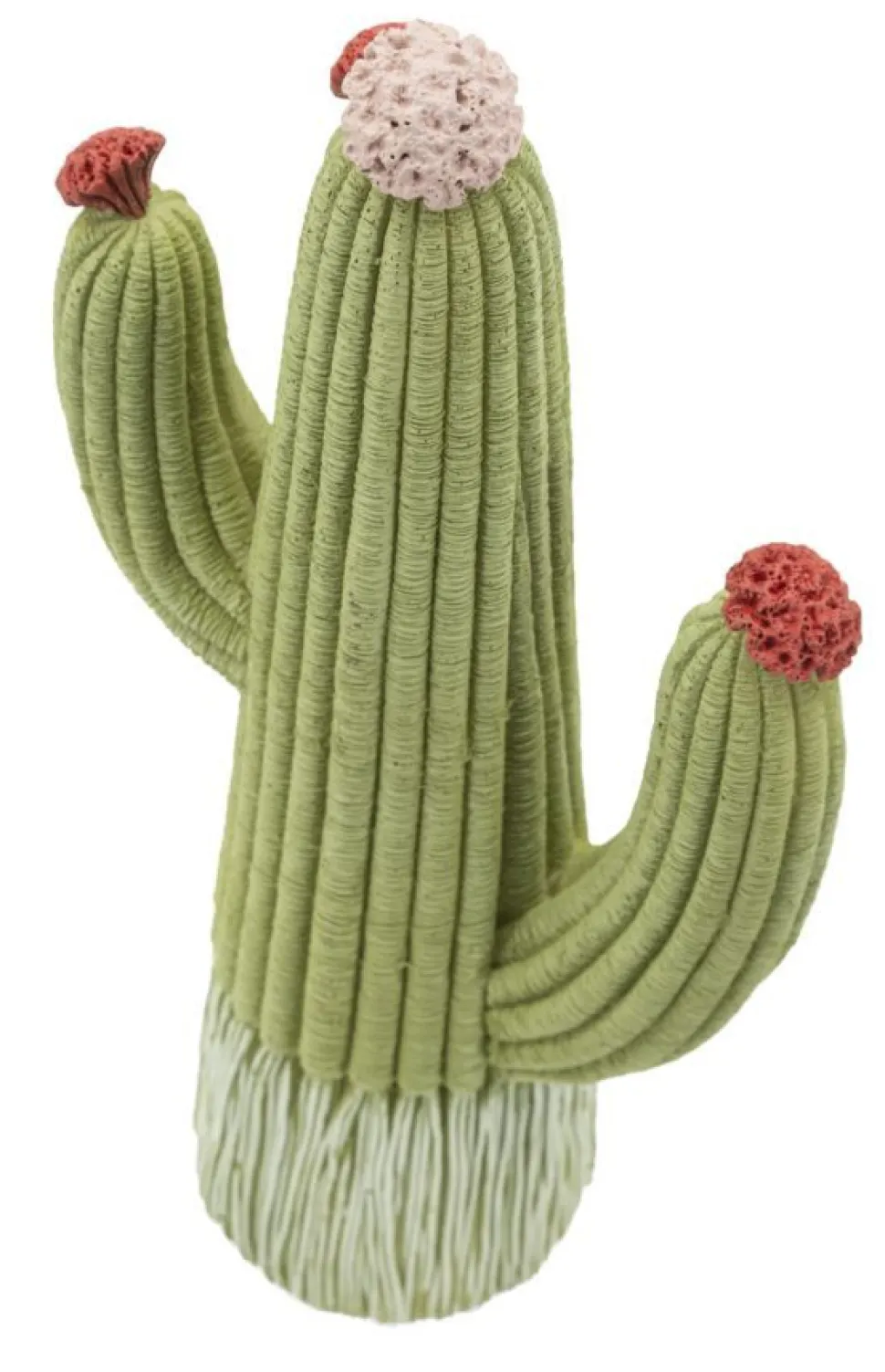 Végétation décorative Cactus Stons vert avec fleurs colorées