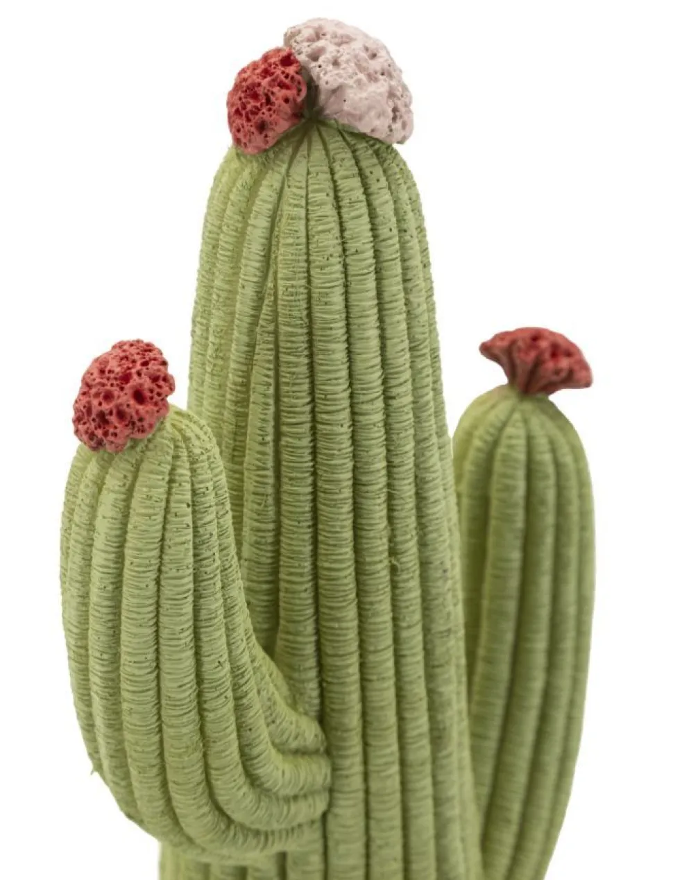 Végétation décorative Cactus Stons vert avec fleurs colorées